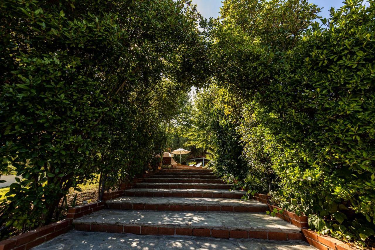 Casa Luxury Suites Παλιούρι Εξωτερικό φωτογραφία